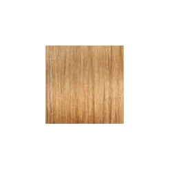 ARGAN OIL Hochentwickelte Haarcoloration Very Light Blonde / Hell-Hellblond 9.0