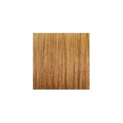 ARGAN OIL Hochentwickelte Haarcoloration Golden Honey Light Blonde / Honigblond 8.3