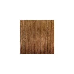 ARGAN OIL Hochentwickelte Haarcoloration Golden / Honey Blonde / Honigblond Gold 7.3
