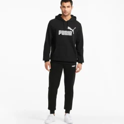 ESS BIG LOGO HOODIE TR