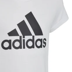 Essentials Big Logo Cotton T-Shirt