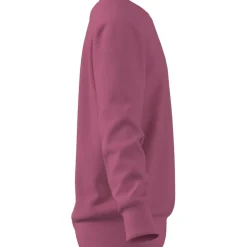 Essentials Kids Sweatshirt
