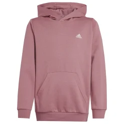 Essentials Small Logo Feel Cozy Kids Hoodie