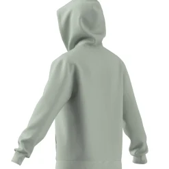 Essentials Small Logo Feel Cozy Hoodie