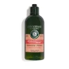 INTENSIV-REPAIR SHAMPOO 300 ML