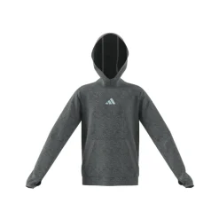 Kids Fleece Hoodie