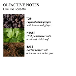 RE-CHARGE BLACK PEPPER EAU DE TOILETTE 100ML
