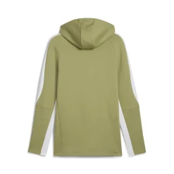 teamEvostripe Kapuzenjacke Herren