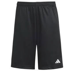 Train Essentials Logo Regular Fit Kids Shorts