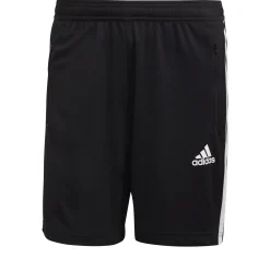 Trainingsshort