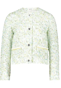 Tweedblazer